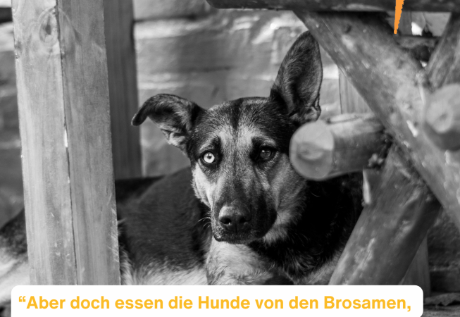 Gottesdienst zum Mitnehmen 27.9.2026